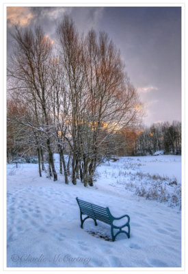 Winter Morning - DSC_5686.jpg