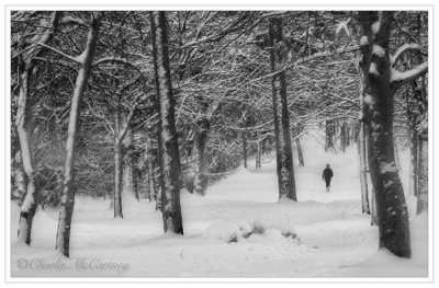 Winter Walk - DSC_5912a.jpg