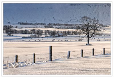 Winter Landscape - DSC_5925.jpg