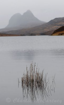 Suilven, Cam Loch - DSC_7790.jpg