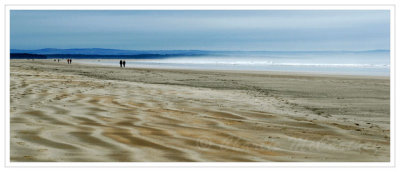 Beach Walkers - DSC_5937.jpg