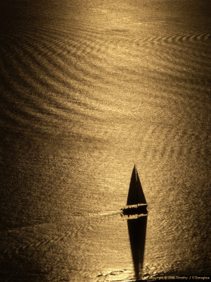 Sail on gold