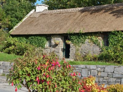 Fuschia & Stone Cottage