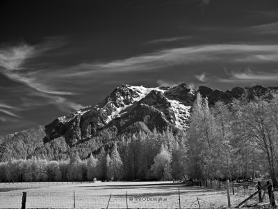 Whitehorse Mountain