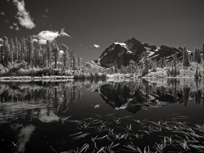 Mt. Shuksan & Picture Lake