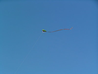 beach rh kite.JPG