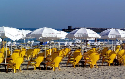 yellow umbrellas1.JPG
