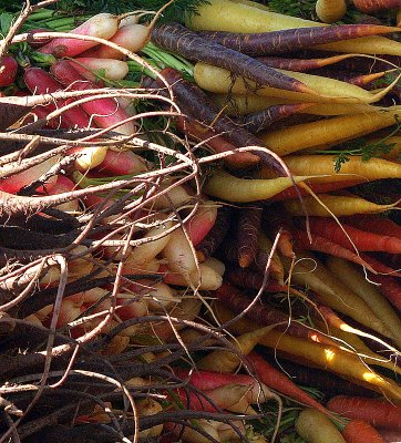 colored carrots.JPG