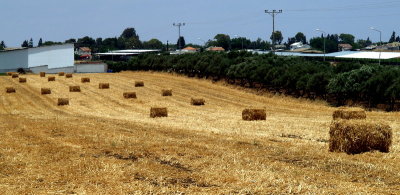 hay bales.JPG