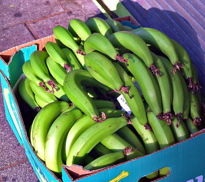 green bananas.JPG