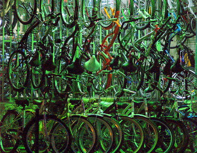 bicycles2.JPG
