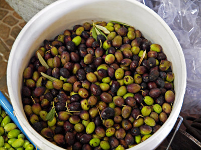 PB032242_olives white pale.JPG