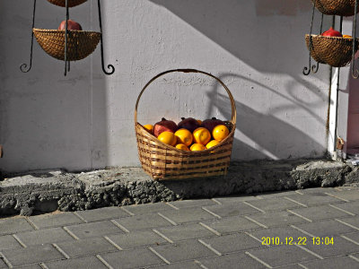 SAM_0082_oranges basket800.jpg