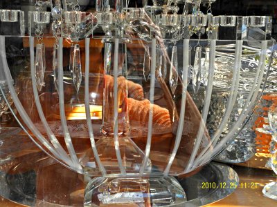 Chanukah celebrations