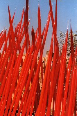 chihuly red spikes.jpg