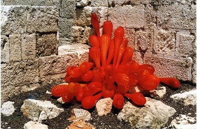 chihuly red1.jpg