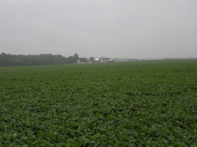 P7297497.JPG