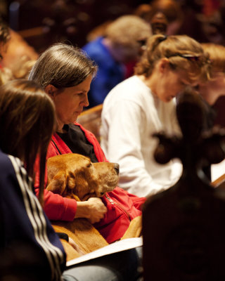 Blessing of Animals_100110_0047 ed.jpg