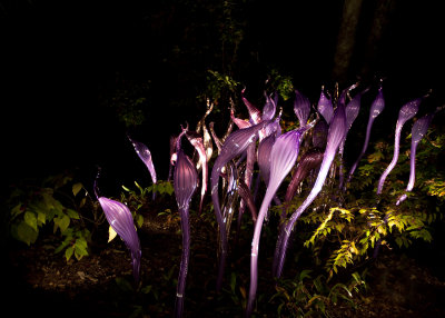 Chihuly at Cheekwood