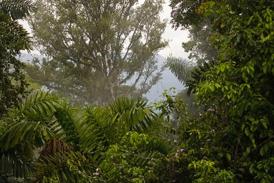 Costa-Rica-3