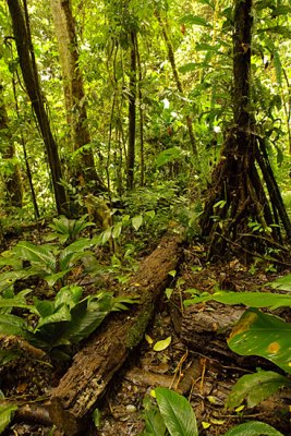 Costa-Rica-15
