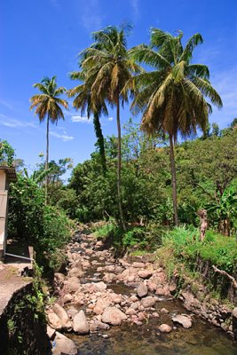Grenada-15
