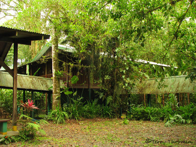 Selva Verde Accommodations and Habitat