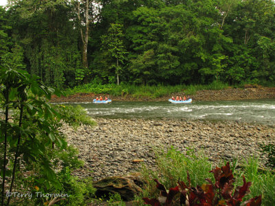 Rafting the Sarapiqui River 2 - SV.JPG