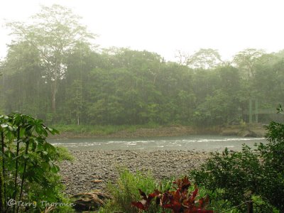 Rain on the Sarapiqui River 1 - SV.JPG