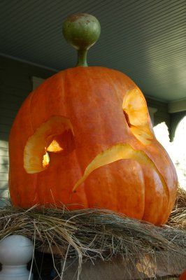 007 Halloween 2010.JPG