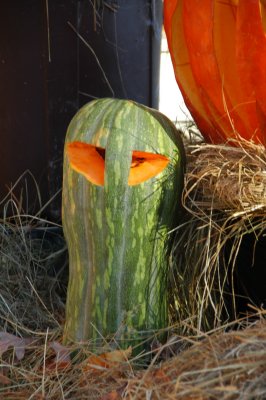 011 Halloween 2010.JPG