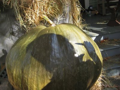 Halloween 2010