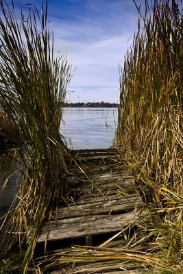 Scugog Island 3.jpg