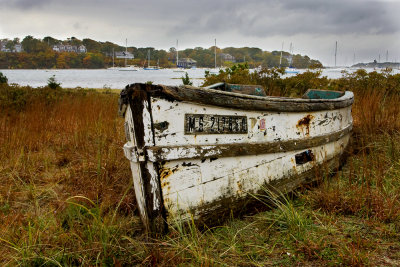 Cape Cod