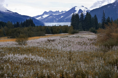Alaska353.jpg