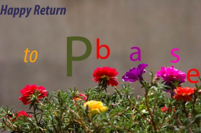 Happy Return to Pbase