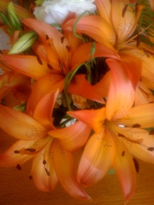 orange lily.jpg