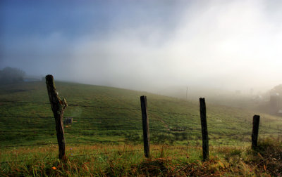 fence