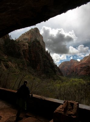 Spring in Zion National Park