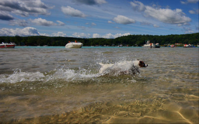 sand bar steamer