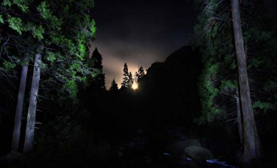 Down river flashlight painting