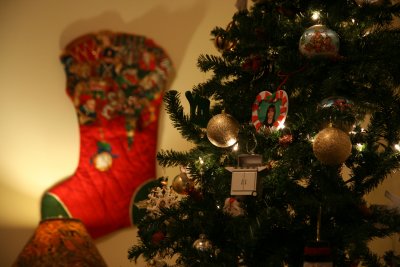 Christmas 2010 (33).JPG