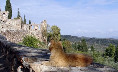 Mistra castle