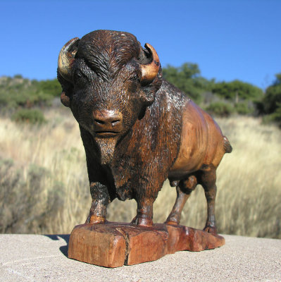 Buffalo bull - view 2