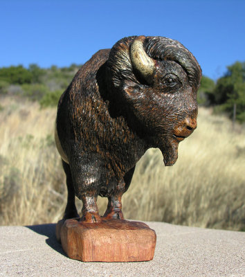 Buffalo bull - view 3
