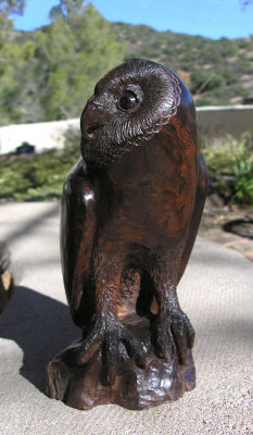 Owl - 1
