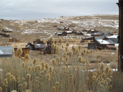 bodie-33.jpg