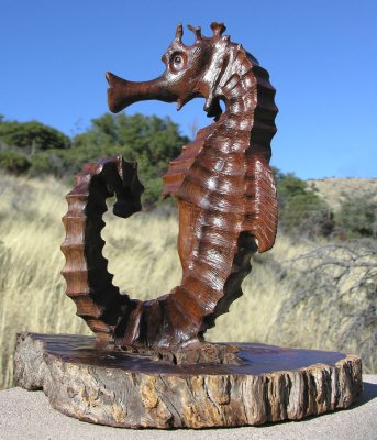 seahorse - view 3