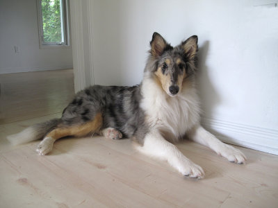 Sage - June 9, 2009