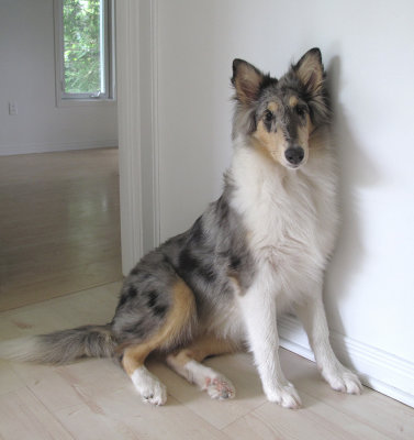 Sage - June 9, 2009